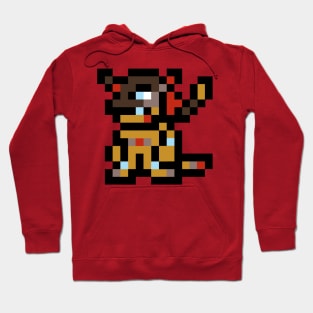 digimon agumon evolution kizuna pixel Hoodie